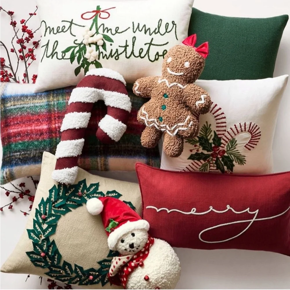 Pottery barn cozy teddy candy cane throw pillow excellent condition like new